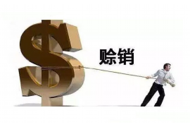 宣汉宣汉的要账公司在催收过程中的策略和技巧有哪些？